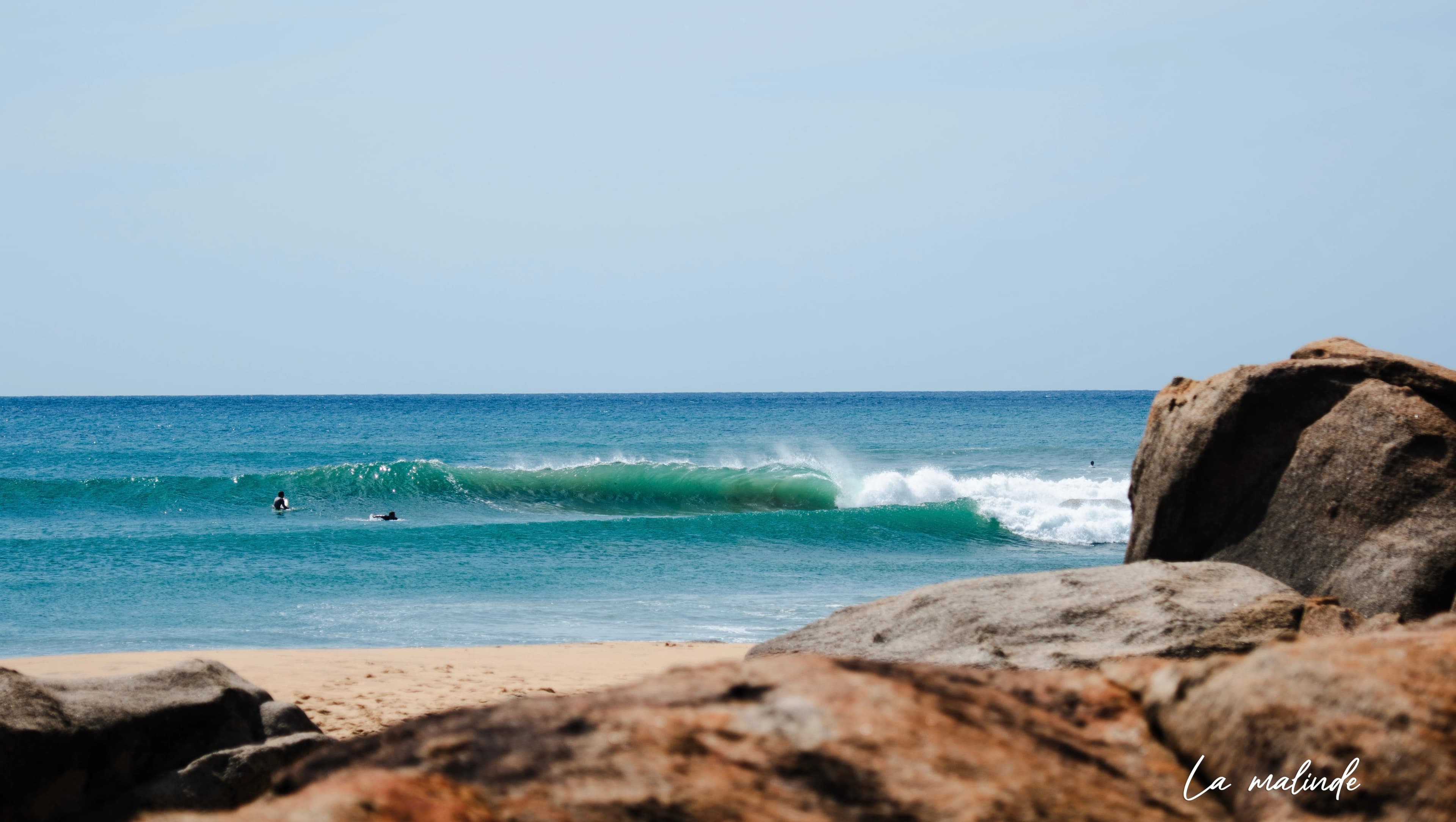 Surf Paradise Hero